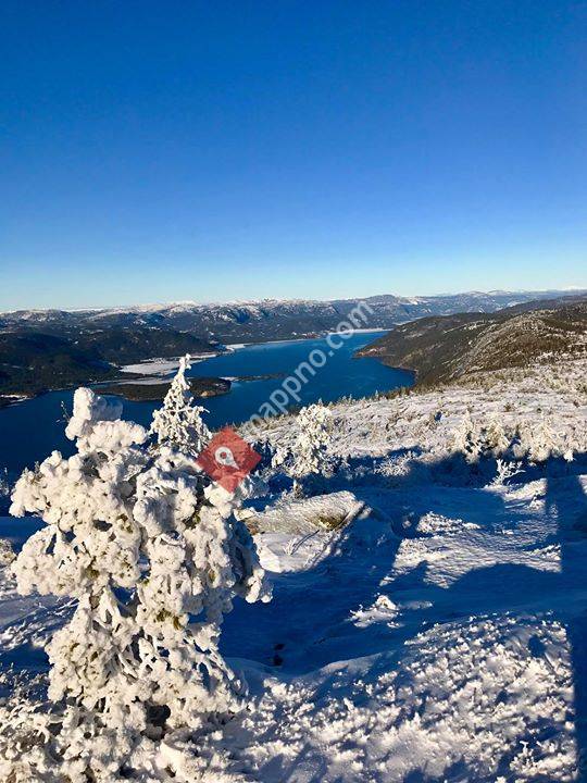 Aarak alarm og sikring