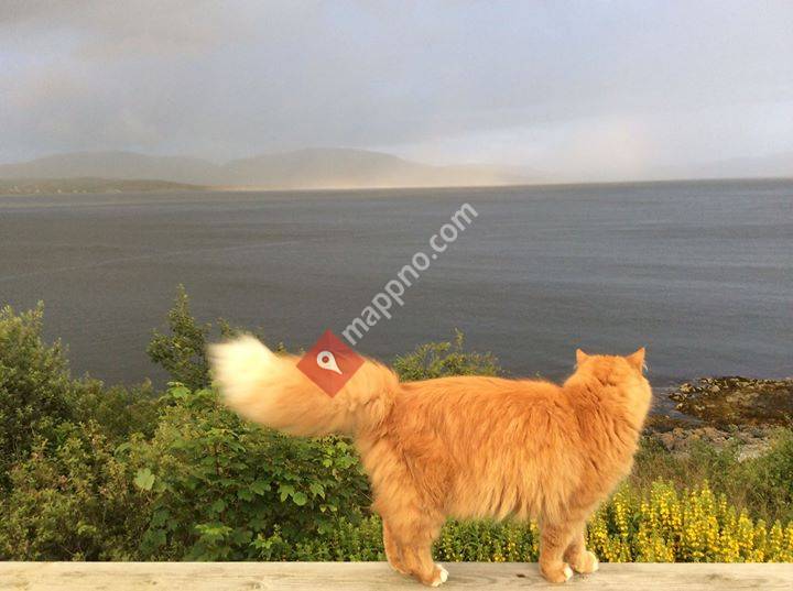 Advokat Marit Eriksson As