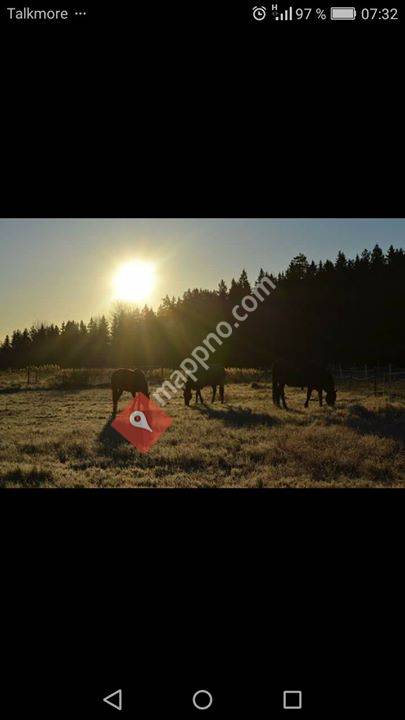 Aee.hesteterapeutstudent