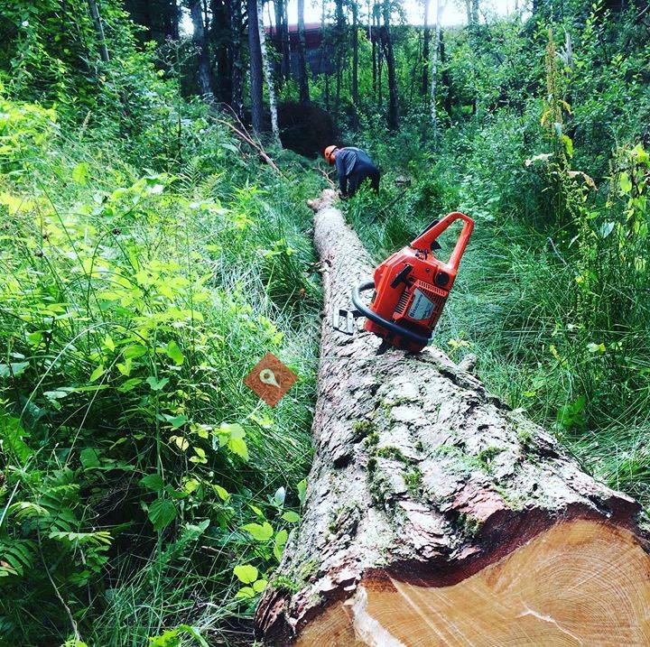 Agder Trefelling mob: 98 68 06 81