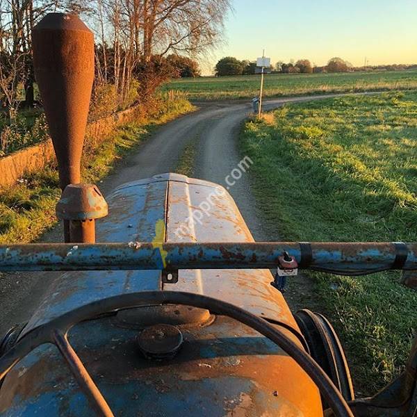 Allbjers Trädgård och Bygg