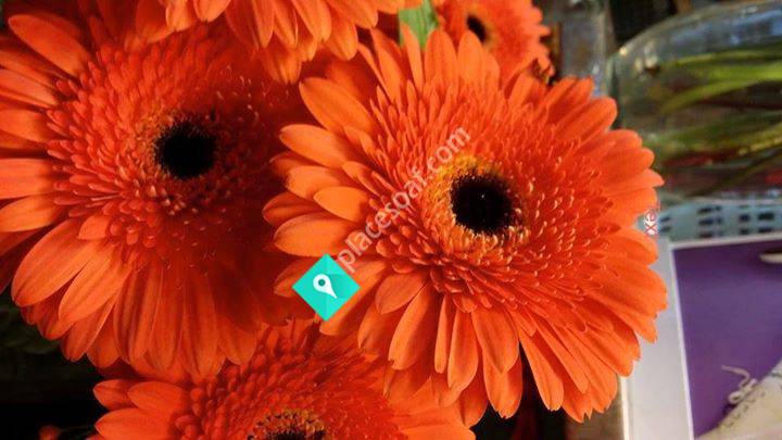 Anastassias Hår- och Nagelsalong