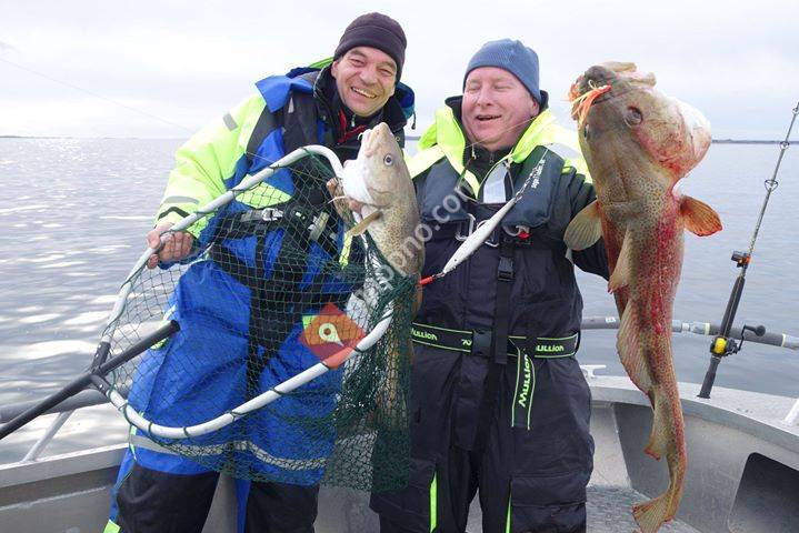 Angeln Hitra Norwegen