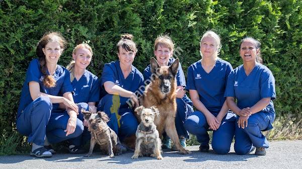 AniCura Kungskliniken