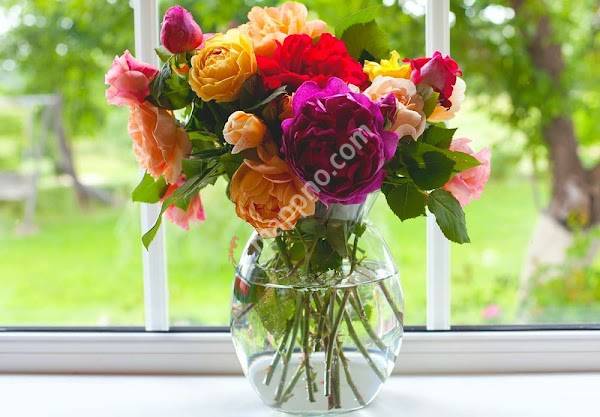 Anitas Blomster og Begravelsesbyrå AS