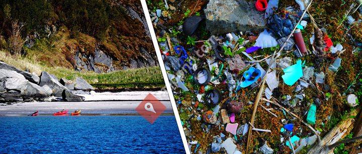 Arctic Plastic Project