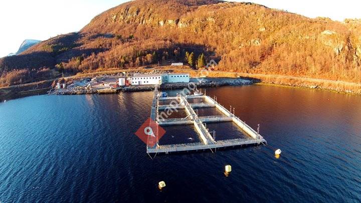 Astafjord Slakteri AS