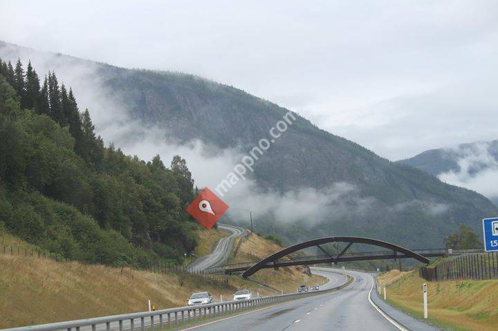 Atlantic Ocean Road / Highway