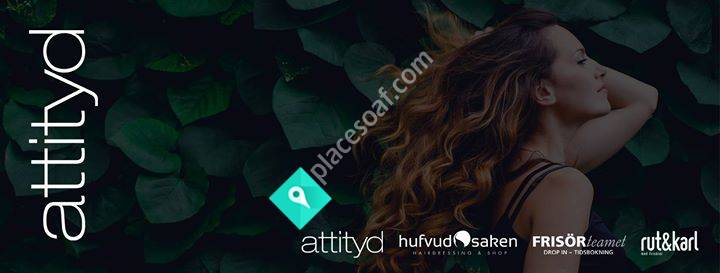 Attityd