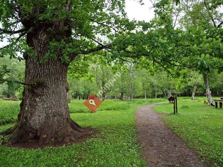 Austrått agroturisme