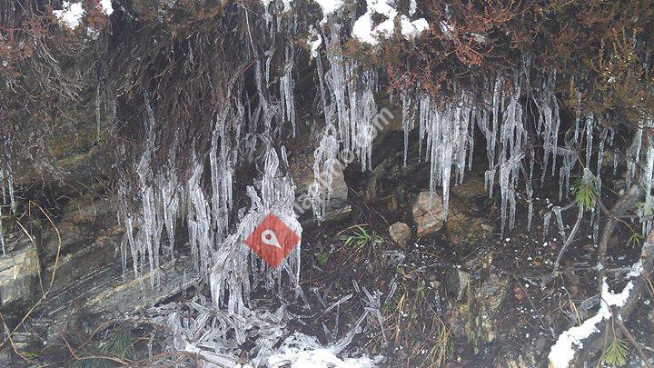 Avlastningshjemmet Myra