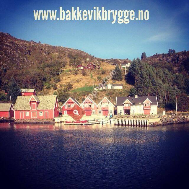 Bakkevik Brygge As