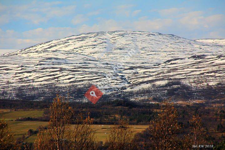 Bakkli på Nerskogen
