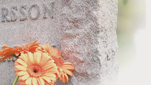 Begravelsesbyrå Fonus AS, administrasjon