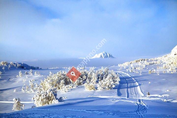 Beitostølen Løypeforening