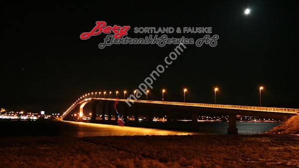 Berg Elektronikkservice As