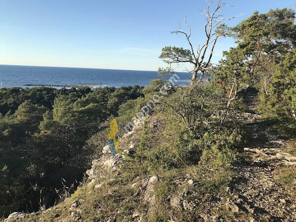 Bergbetningen Naturreservat