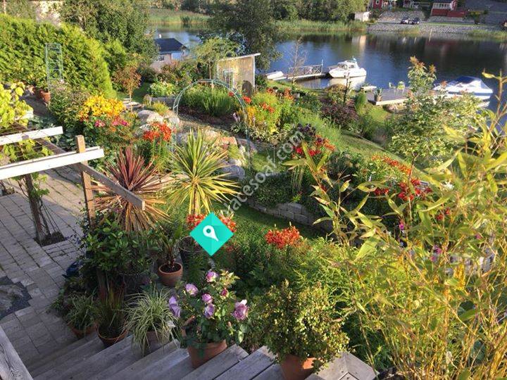 Bergströms trädgård på Strömsön