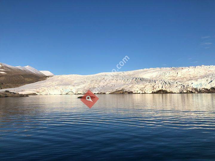 Best Of Scandinavia Incoming