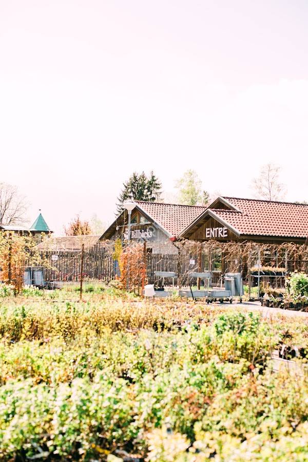 Billbäcks Trädgård