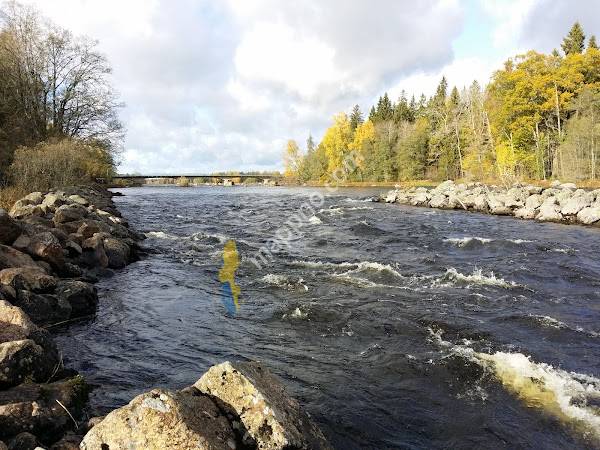 Biosfärområde Älvlandskapet Nedre Dalälven