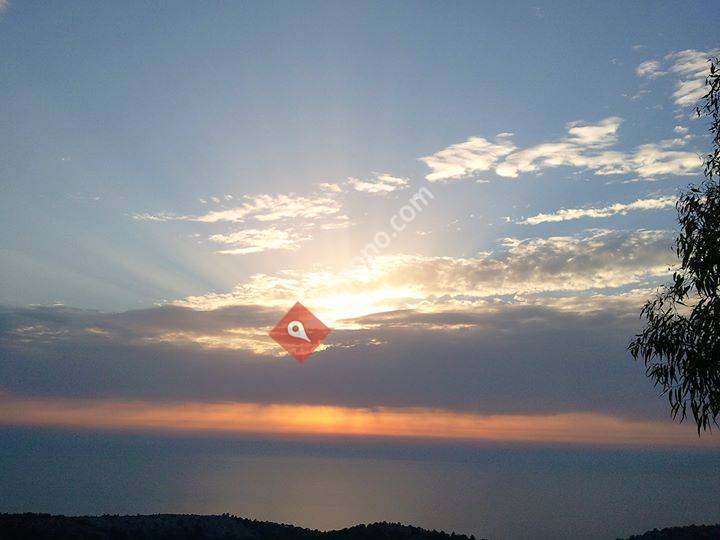 Bjørg Kristin Langnes - kurs, foredrag og konsulenttjenester