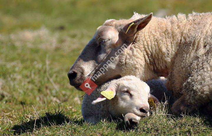 Bjerkreim Avløysarlag