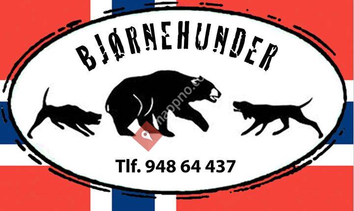 Björnhundar