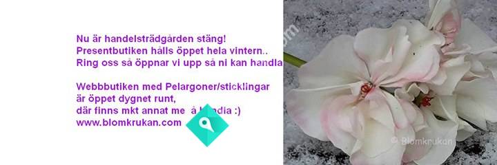 Blomkrukan - Handelsträdgård