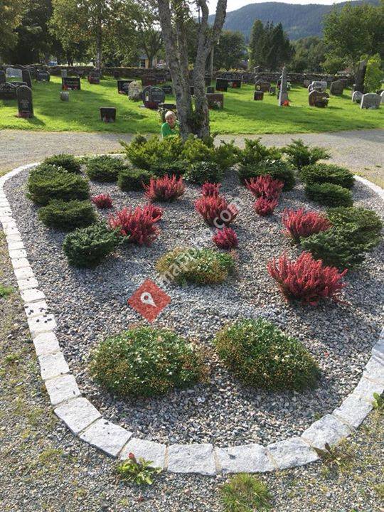 Blomsterhjelpen Åfjord, stell av gravsteder