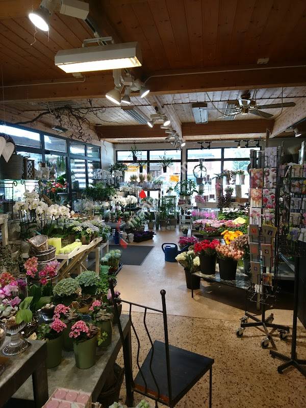 Borgeåsen Blomster & Binderi