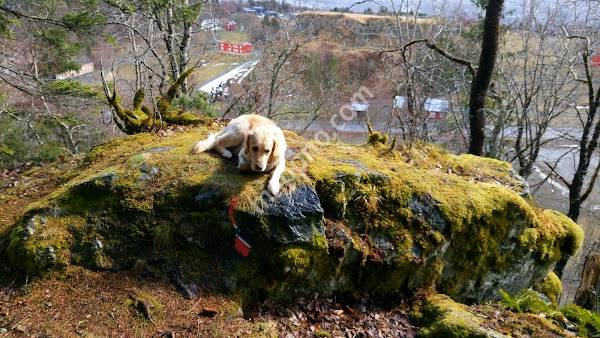 Byåsen legesenter AS