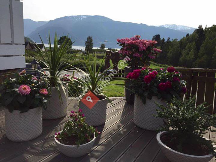 Cafe Sharm El Hagane