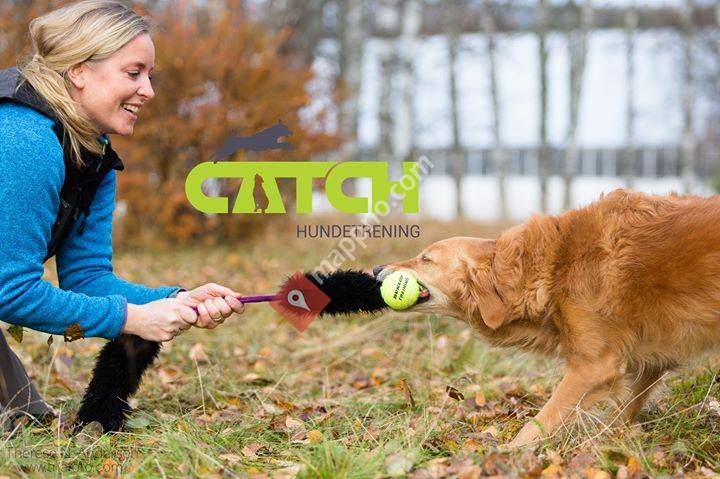 CATCH Hundetrening Eiker & Modum