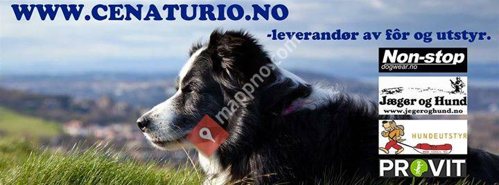 Cenaturio Hund og Katt
