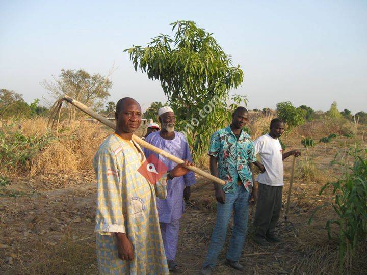 Children Green World Vision