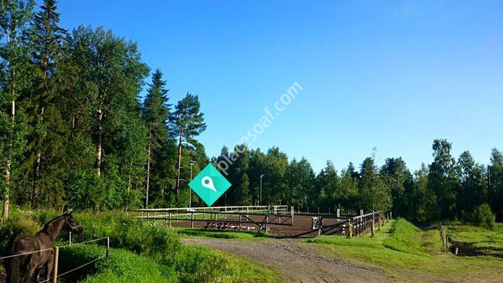 Cillas Unghästutbildning