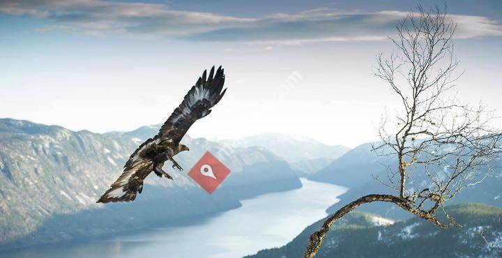 Dalen Villmarkssenter