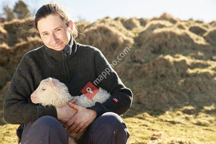 Dalpro - Hitra Frøya