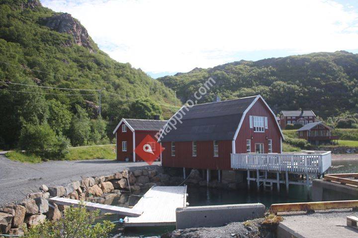 Damperiet i Vesterålen