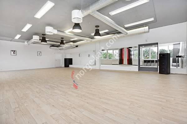 Danseløvene Danseskole