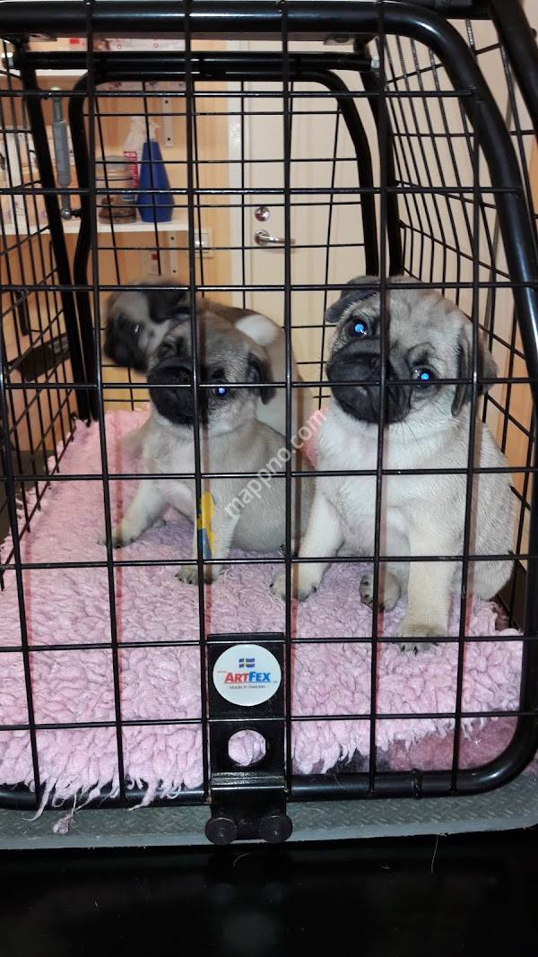 Delsbo Veterinärpraktik