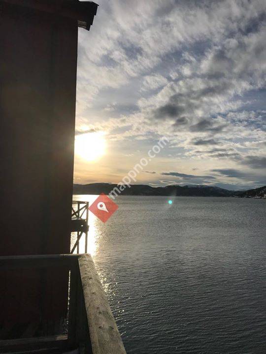 Den Grønne Brygge