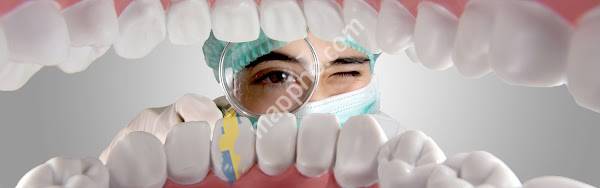 Dentists Dellenborg & Nordin AB