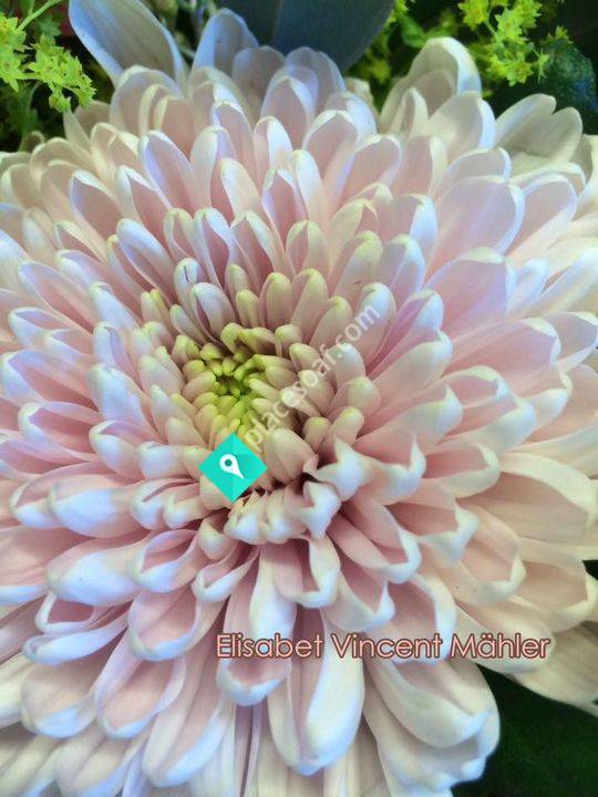 Dermaestetic Medicinsk Hudvård i Örnsköldsvik