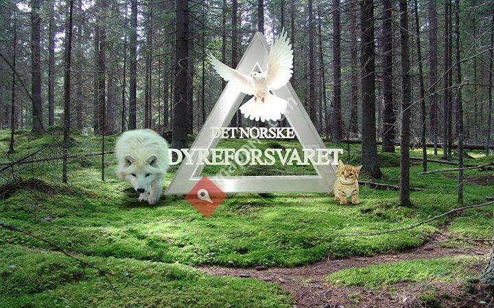 Det Norske Dyreforsvaret DNDF