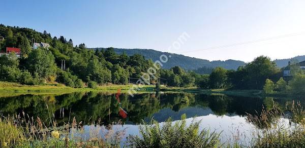 Din lokale veterinær Osterøy