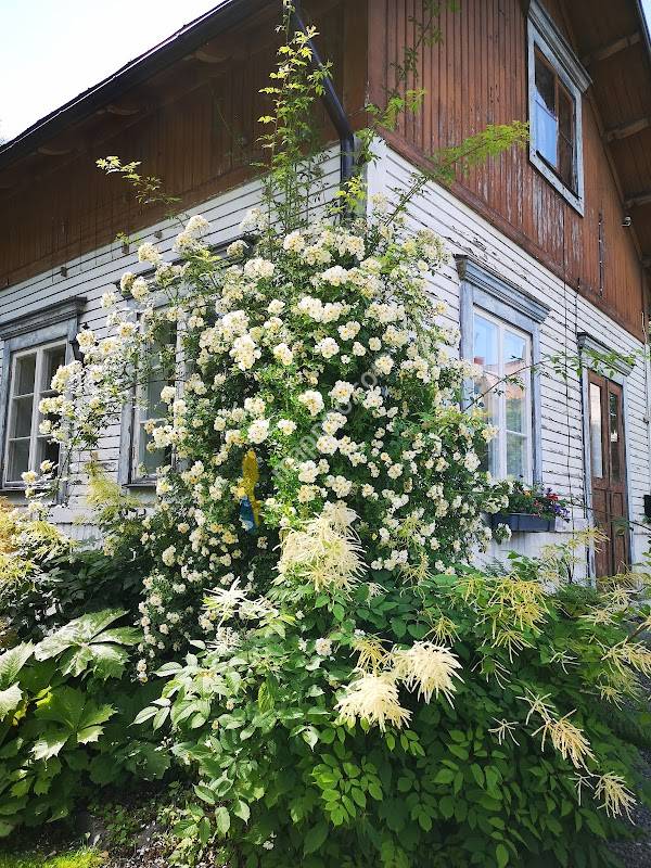 Disponentparken Grängesberg