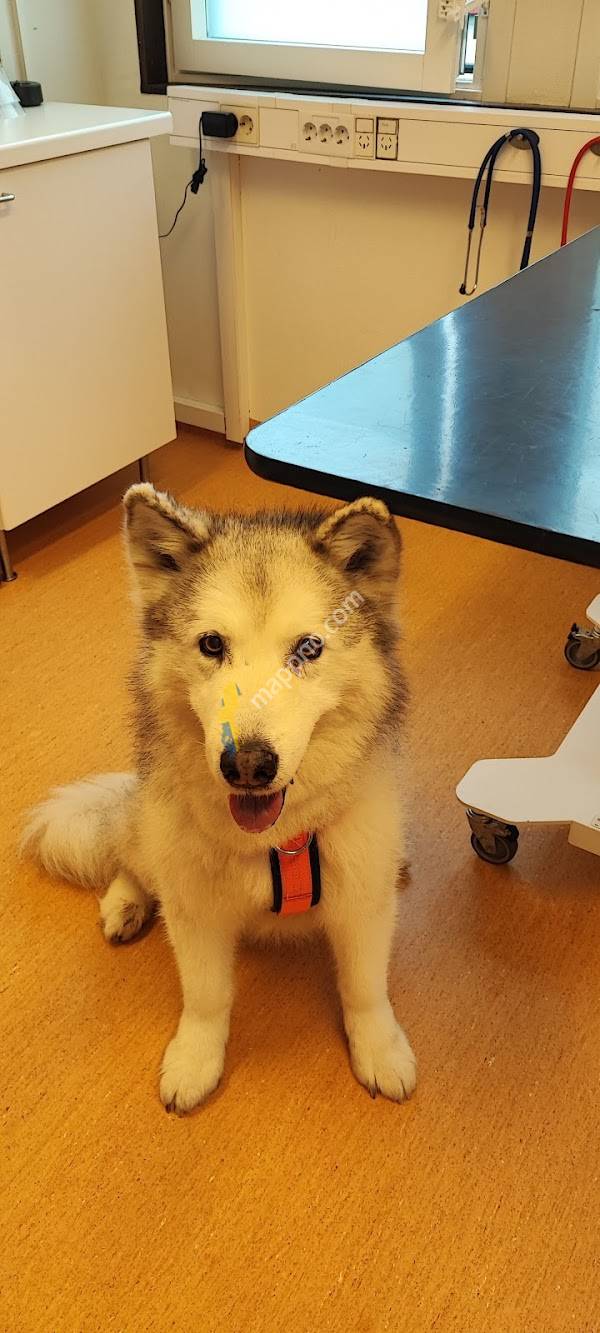 District Veterinarians Tierp