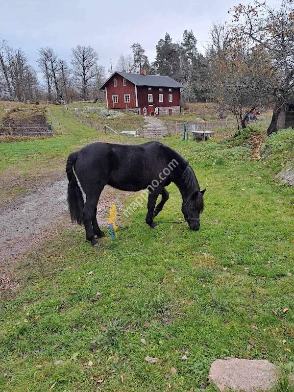 Distriksveterinärerna Valdemarsvik